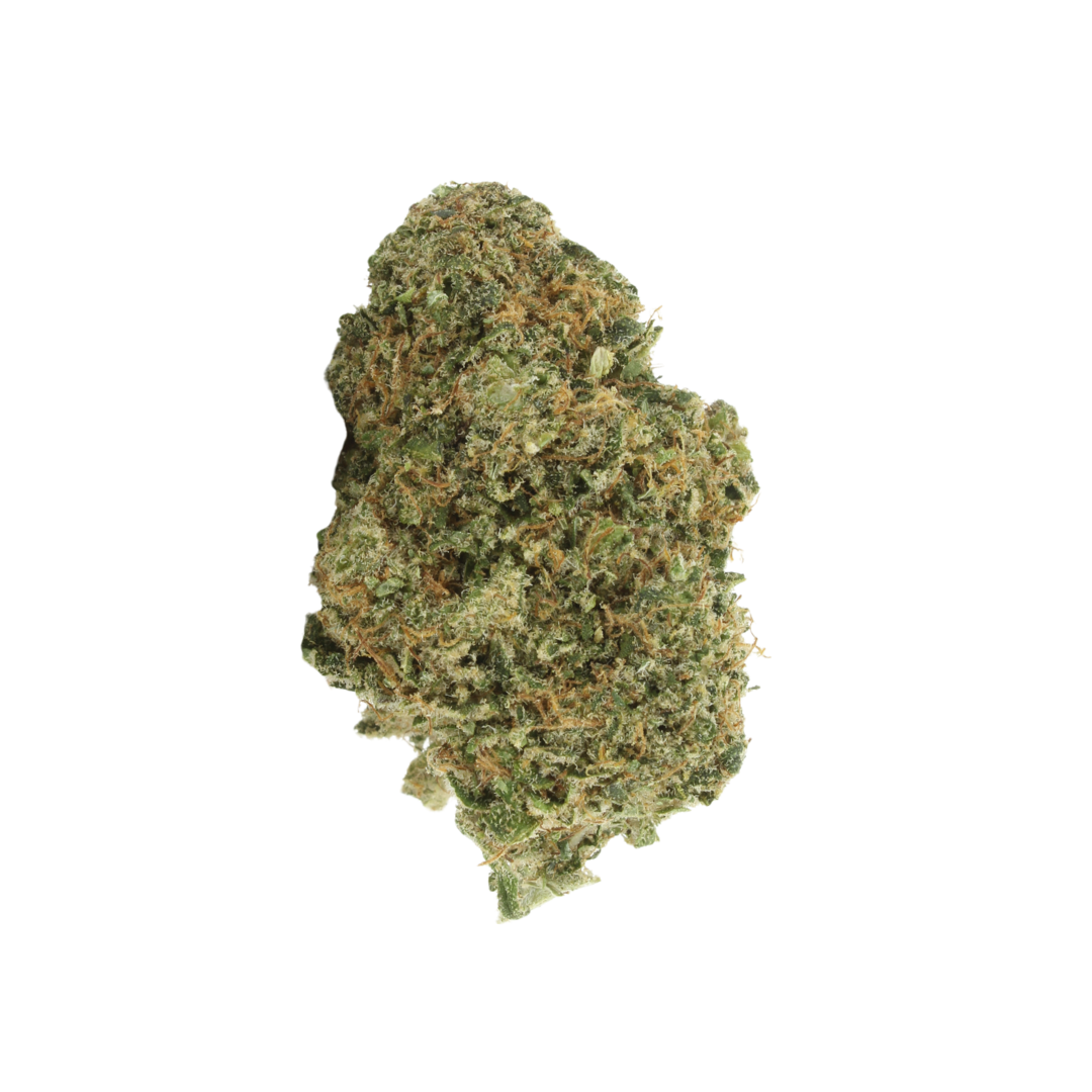 🎁  1G Freebuds (100% off)
